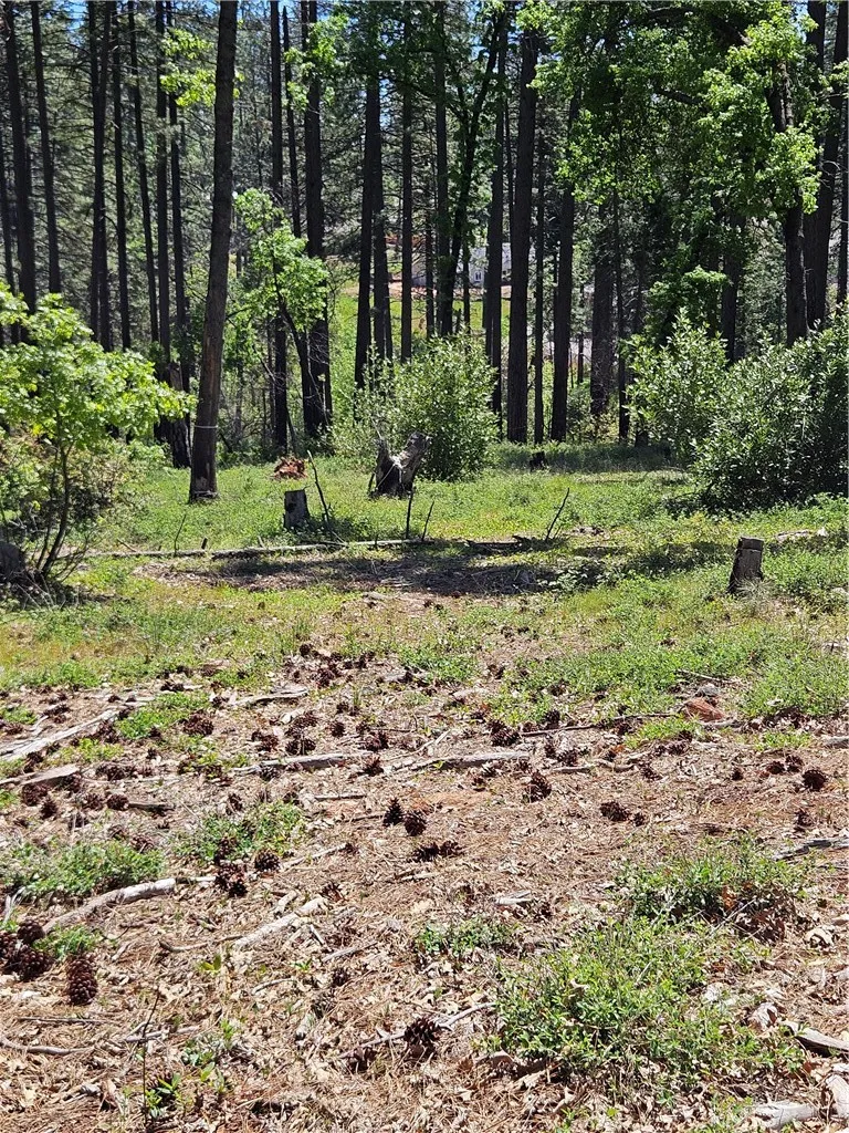 0 Boeta Paradise, CA 95969 - Photo 3 of 4 a view of a garden