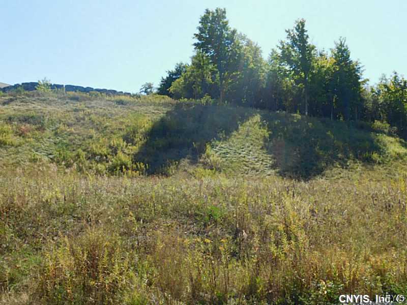 4580 Reliant Road Onondaga, NY 13078 - Photo 1 of 1 Land/Lot Lot 95