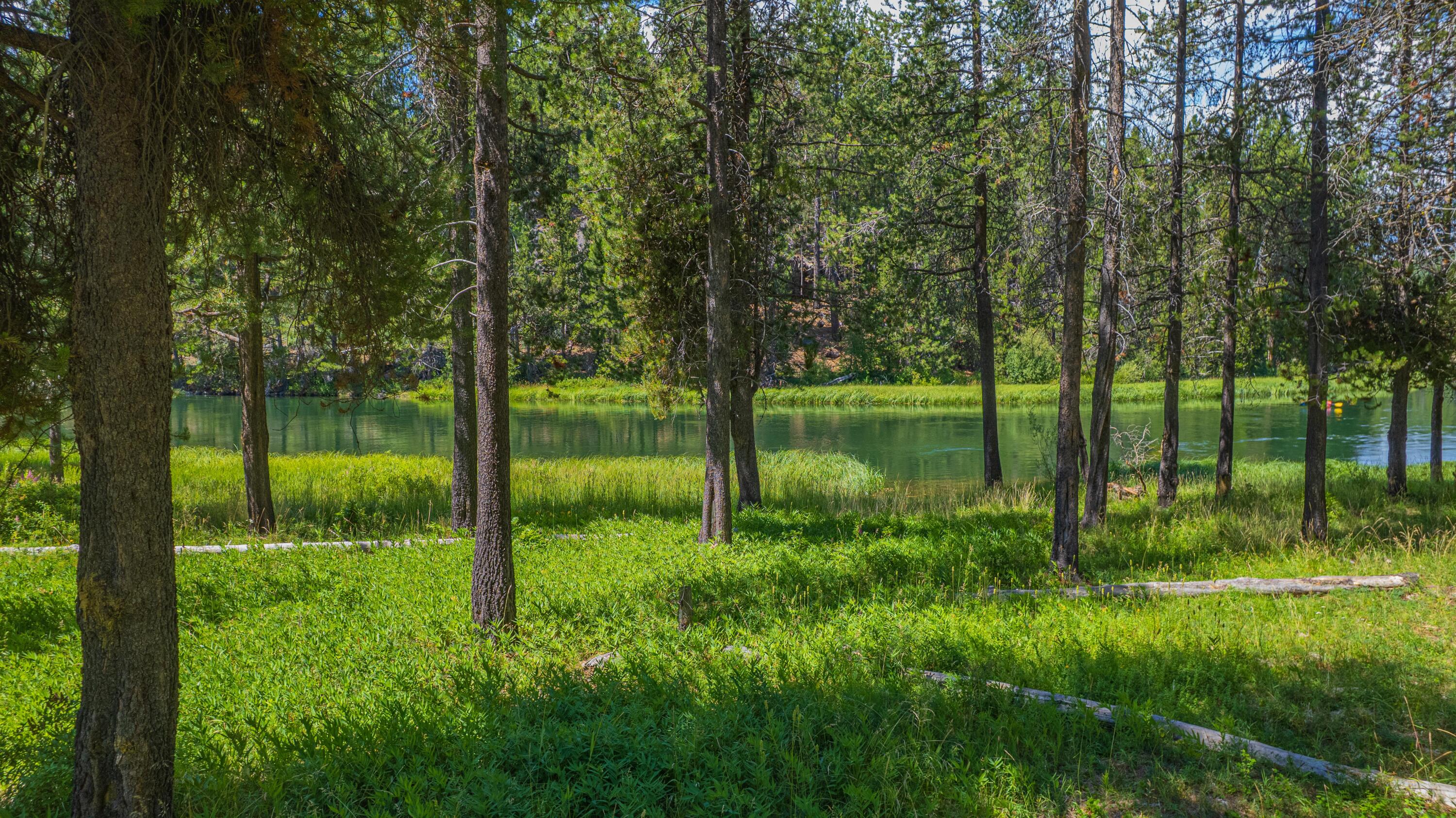 17674 Bittern Lane, Unit 7 Sunriver, OR 97707 - Photo 41 of 43 Riverfront landscape just beyond the common lawn, highlighting proximity to the Deschutes River and riparian setting.