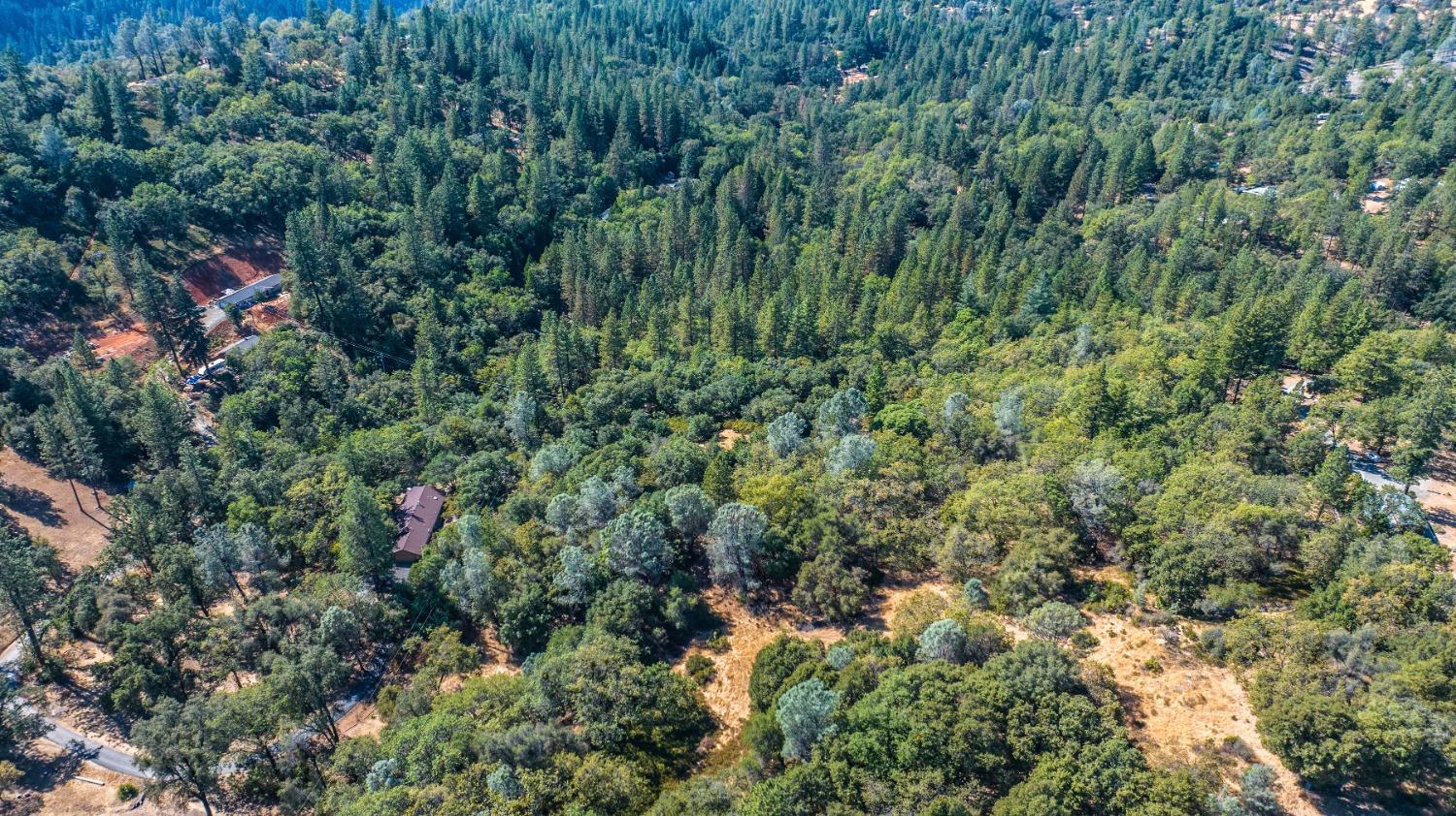 18871 Ponderosa Annex Road Sutter Creek, CA 95685 - Photo 20 of 31 a view of a forest with a tree