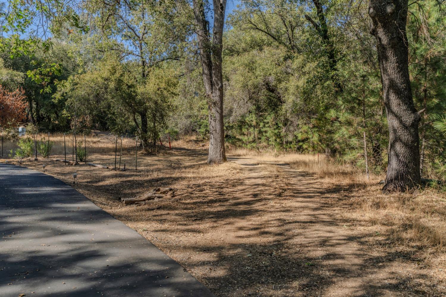18871 Ponderosa Annex Road Sutter Creek, CA 95685 - Photo 2 of 31 a view of a yard with trees