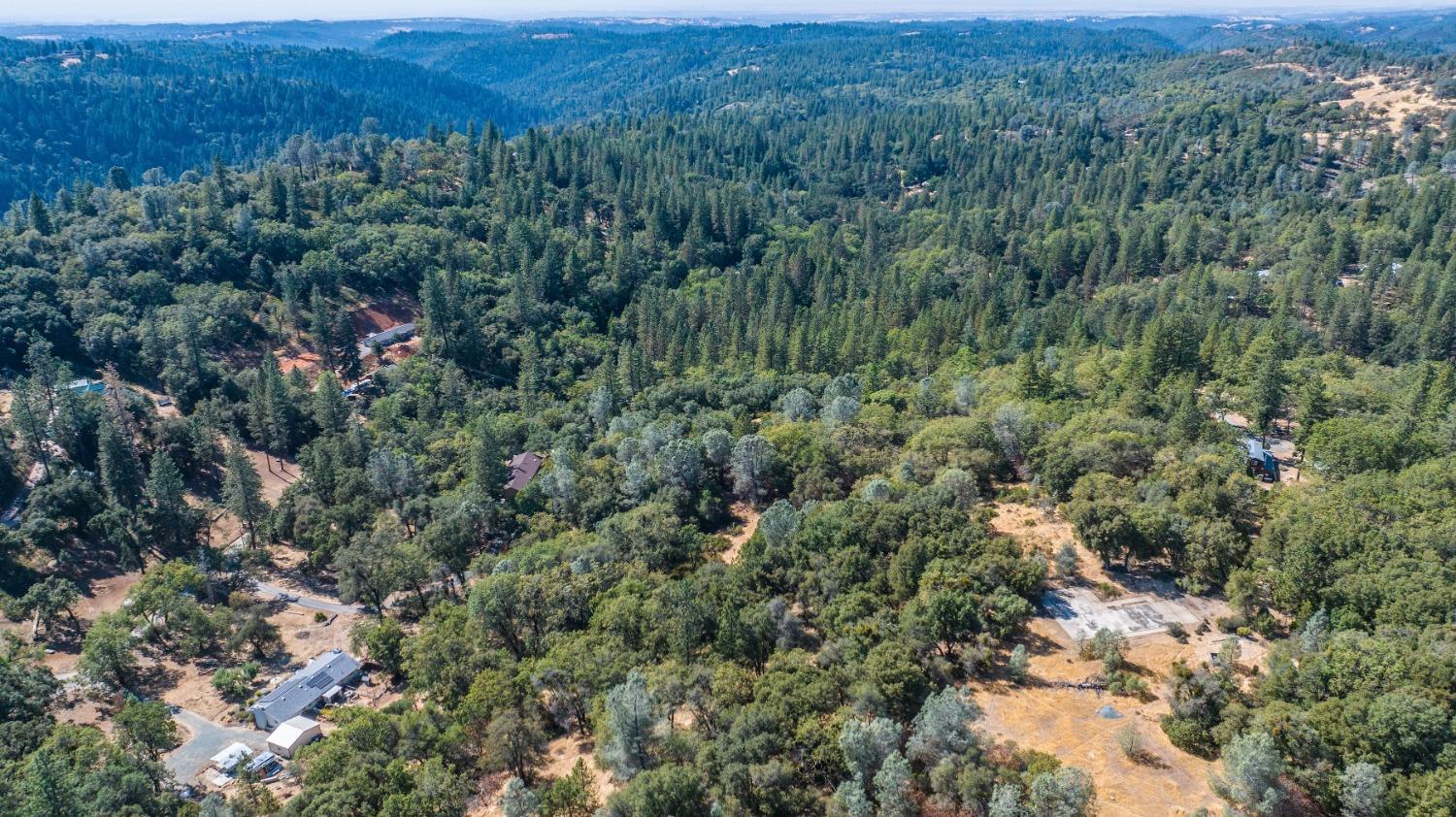 18871 Ponderosa Annex Road Sutter Creek, CA 95685 - Photo 21 of 31 a view of a forest with a lush green forest