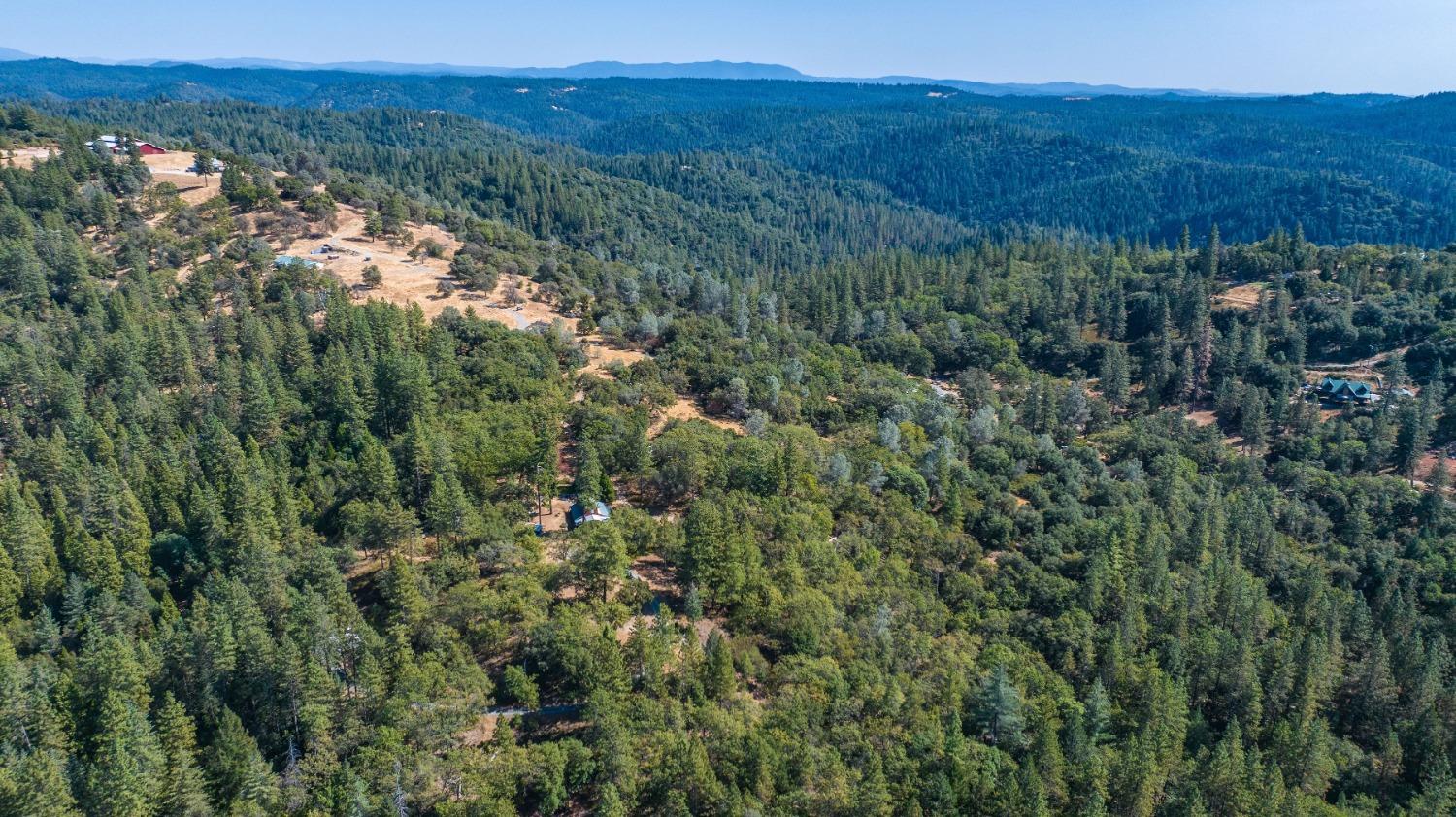 18871 Ponderosa Annex Road Sutter Creek, CA 95685 - Photo 24 of 31 a view of a lush green forest with trees and some houses