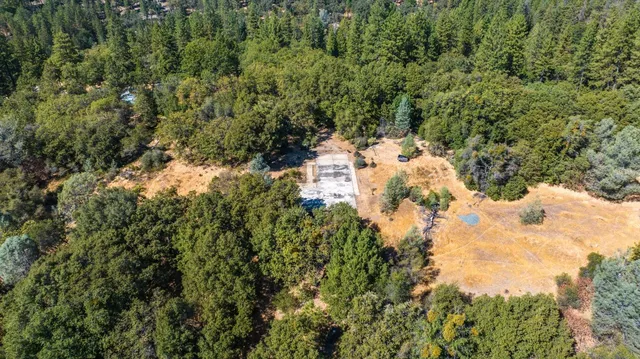 a view of a yard of a building