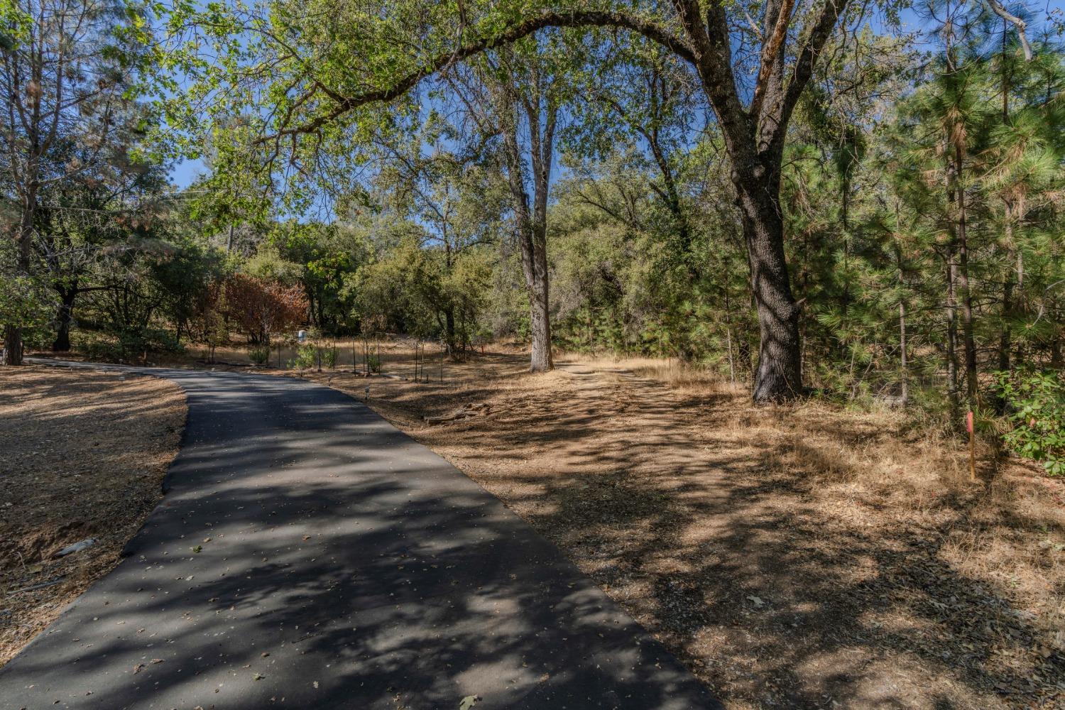 18871 Ponderosa Annex Road Sutter Creek, CA 95685 - Photo 4 of 31 a view of outdoor space with trees