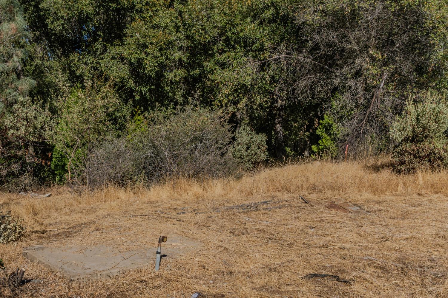18871 Ponderosa Annex Road Sutter Creek, CA 95685 - Photo 7 of 31 a view of a lake view