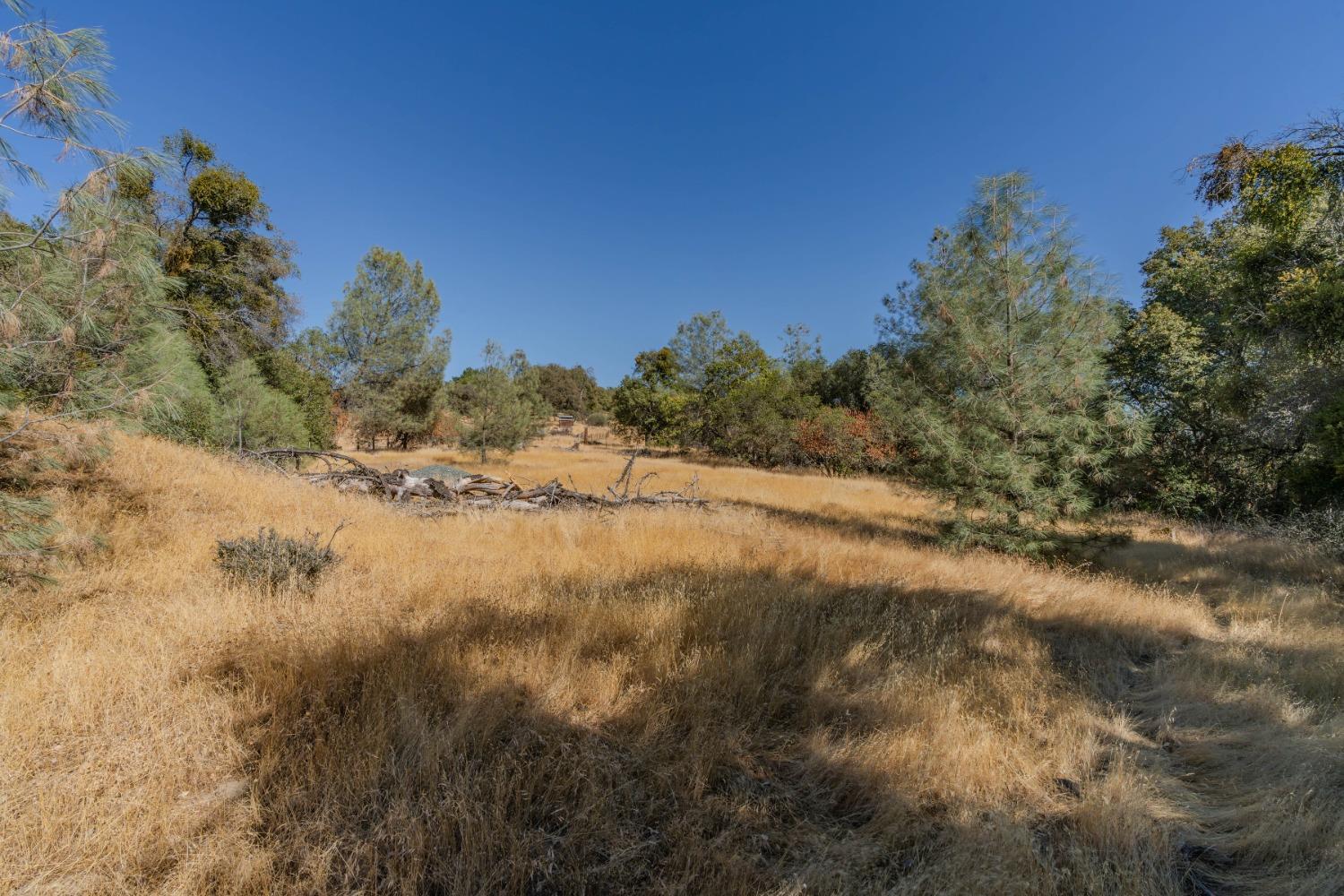 18871 Ponderosa Annex Road Sutter Creek, CA 95685 - Photo 9 of 31 a view of a field