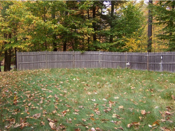 20 Ripple Road Barnstead, NH 03225 - Photo 8 of 20