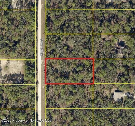 16026 Magpie Road Brooksville, FL 34614 - Photo 4 of 5