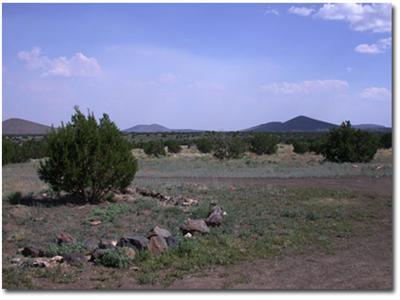 143 Leupp Road Flagstaff, AZ 86004 - Photo 3 of 5 Additional Photo