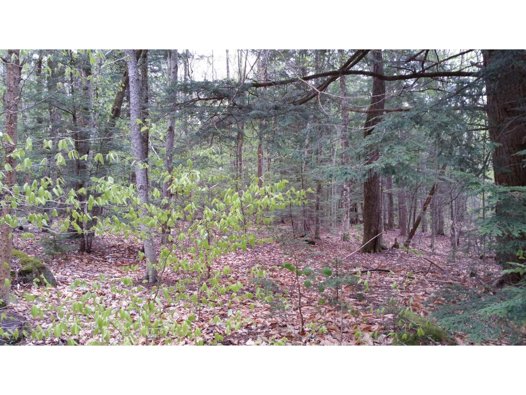 Lot 17 Heartwellville View Road Readsboro, VT 05350 - Photo 1 of 7