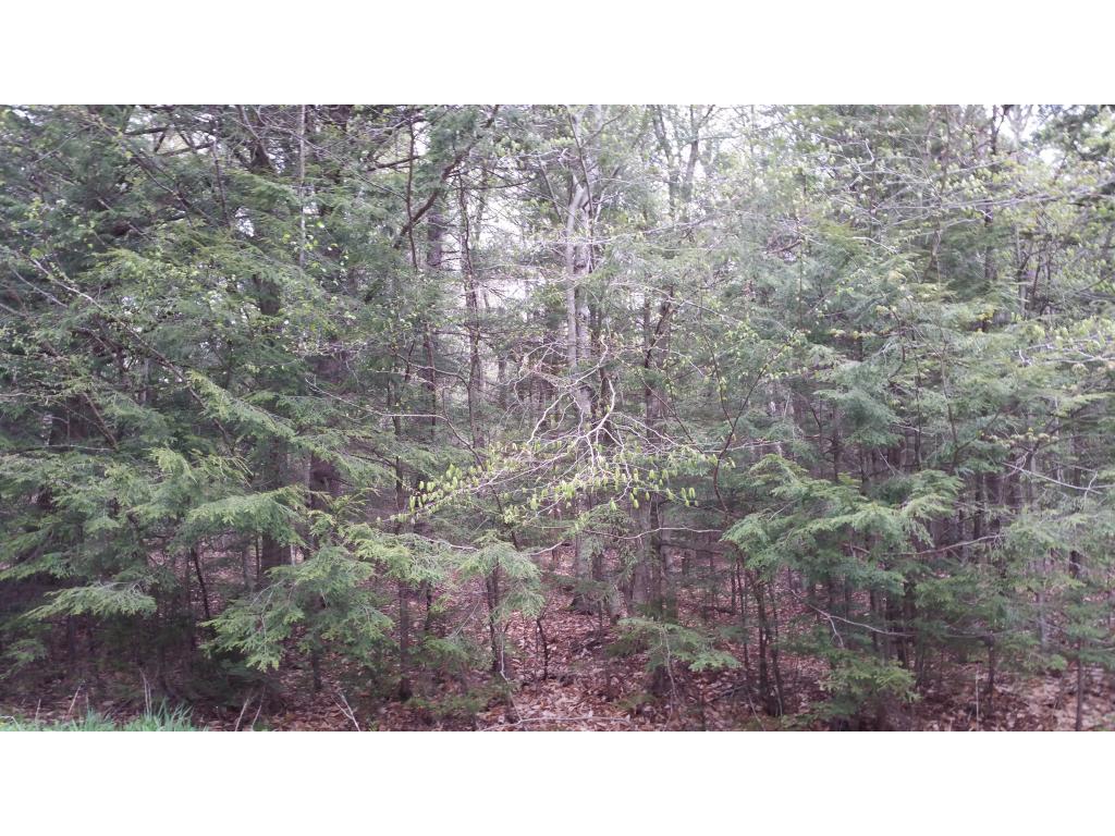 Lot 17 Heartwellville View Road Readsboro, VT 05350 - Photo 4 of 7