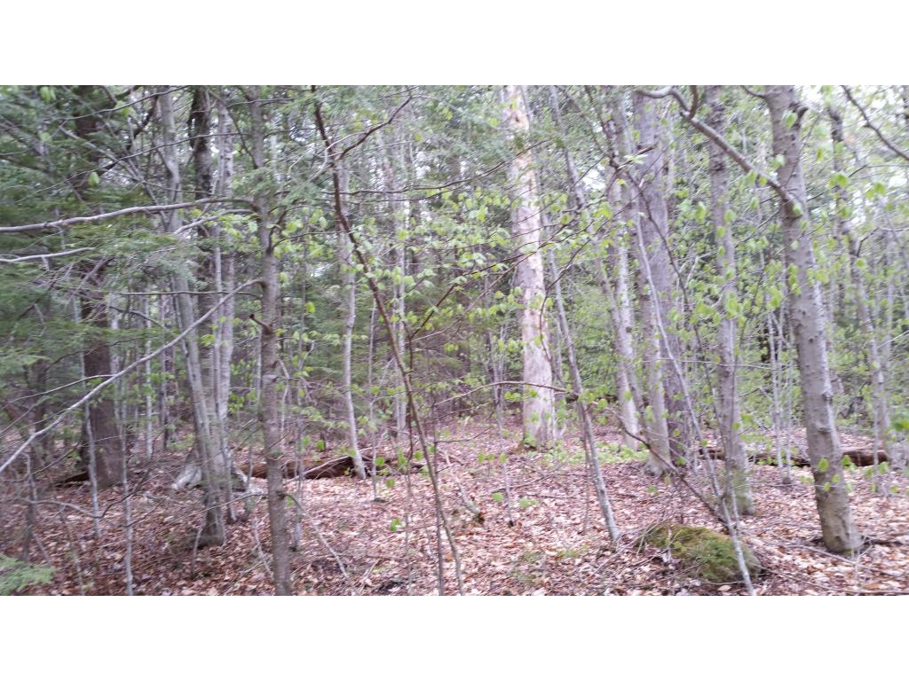Lot 17 Heartwellville View Road Readsboro, VT 05350 - Photo 5 of 7