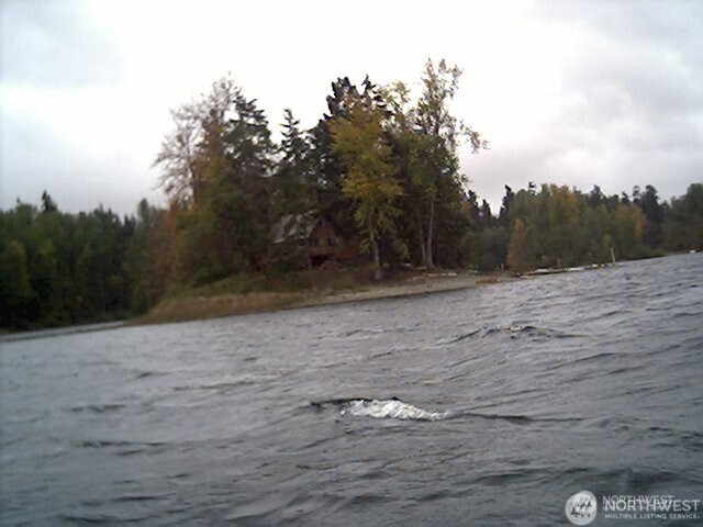 1 Beard Island Camp Murray, WA 98430 - Photo 4 of 5