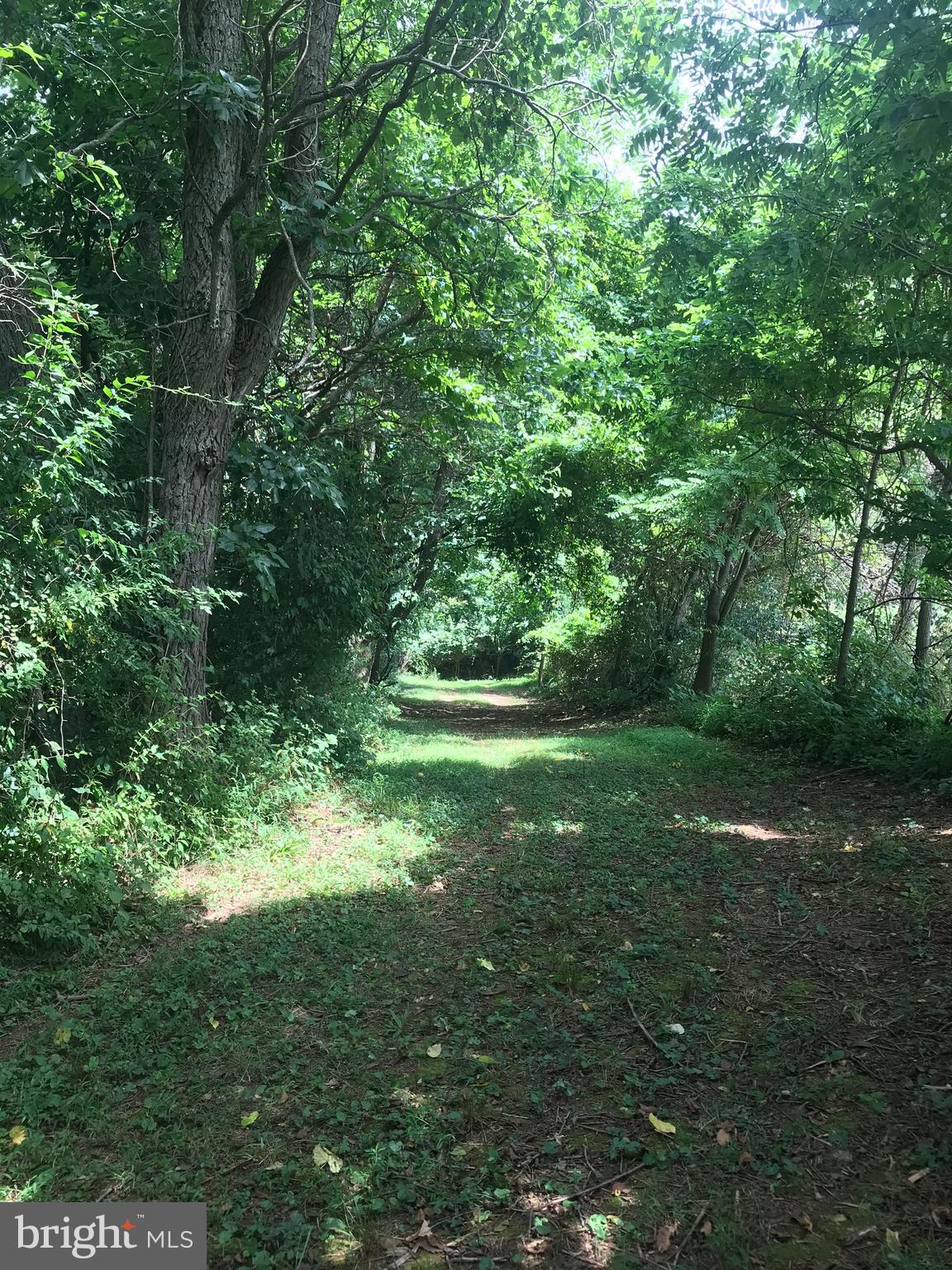 Hughes Shop Road, Unit 2 Westminster, MD 21158 - Photo 3 of 4 Entrance to 3 lots - all perc'd for sand mounds