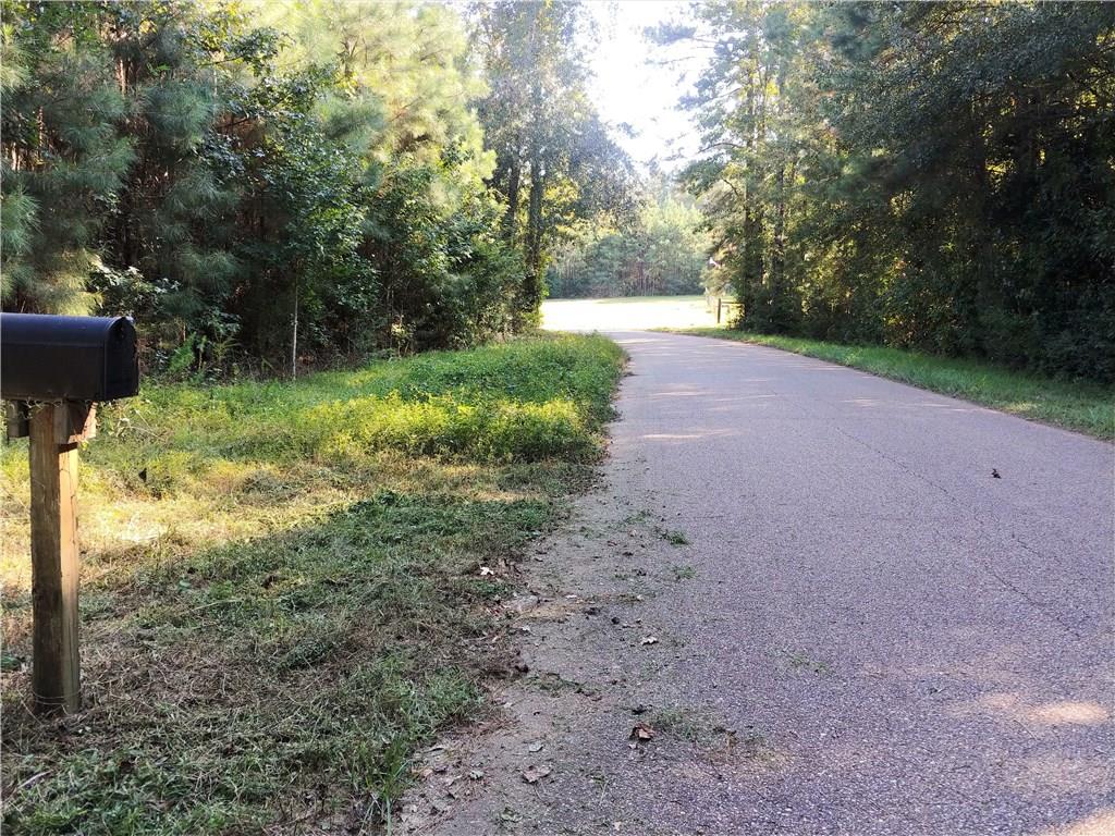 84048 Pierre Cemetary Road Folsom, LA 70437 - Photo 5 of 29 Gallery Image 5