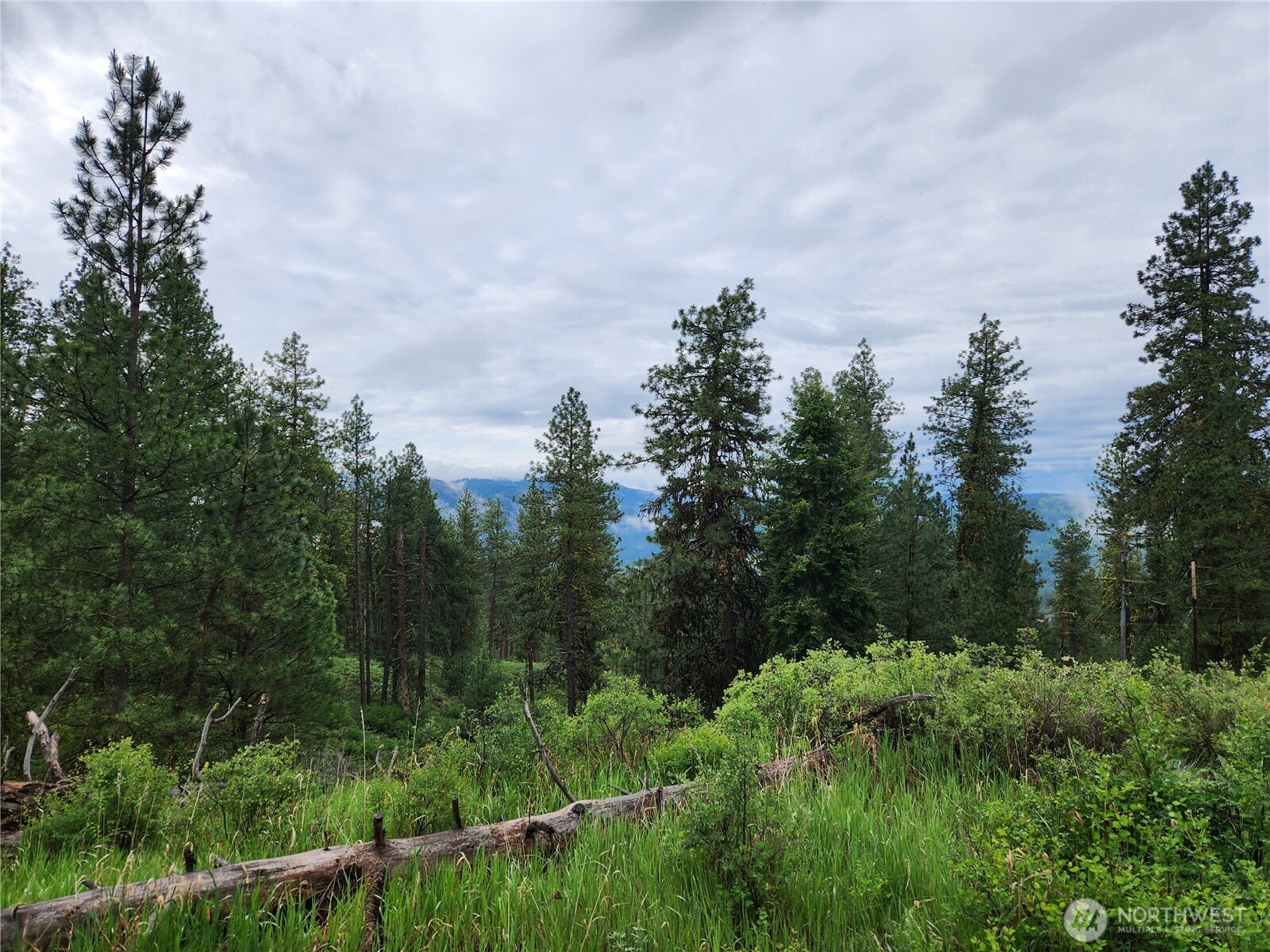 74-75 Gold Mt Road Republic, WA 99166 - Photo 25 of 25 a view of a city and lush green forest