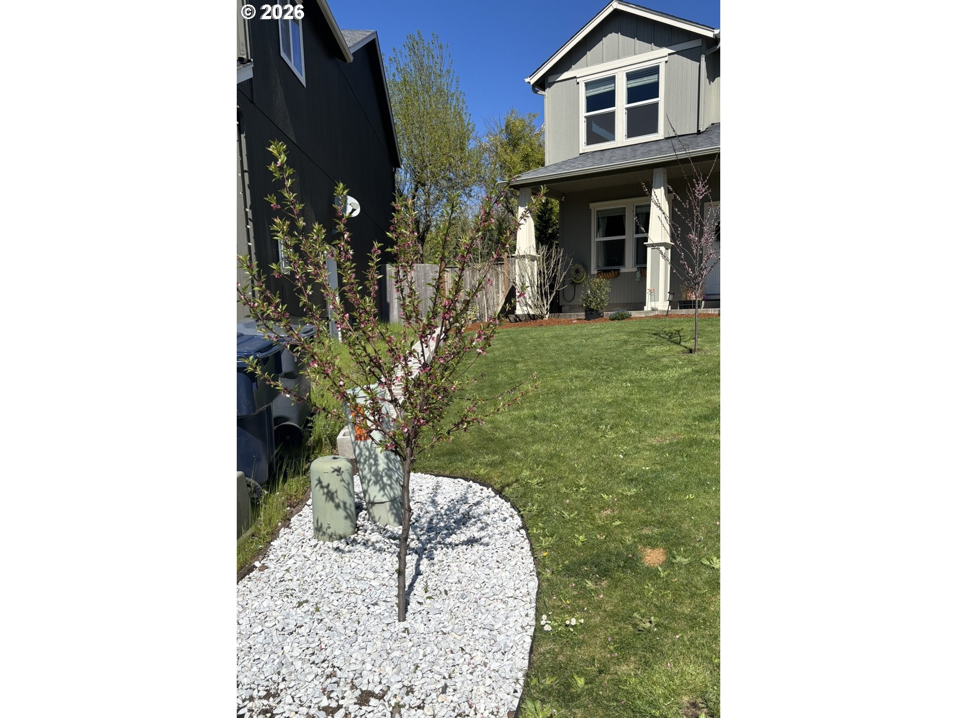 6074 Pebble Court Springfield, OR 97478 - Photo 3 of 42