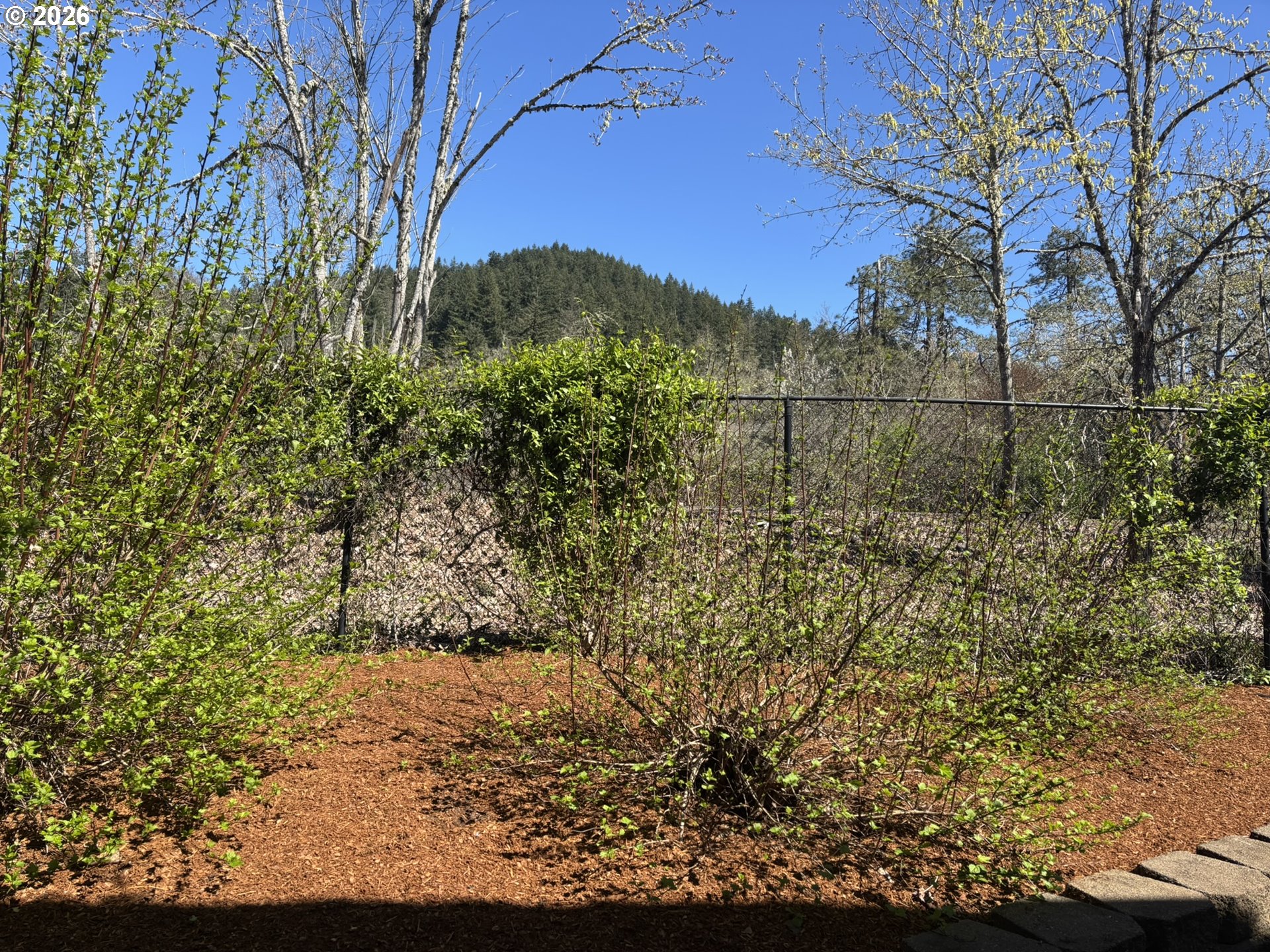 6074 Pebble Court Springfield, OR 97478 - Photo 36 of 42