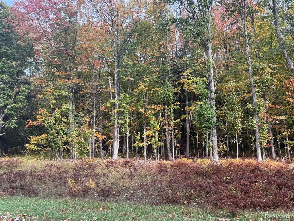 207 Wallace Road Northeast Alden, MI 49612 - Photo 5 of 7