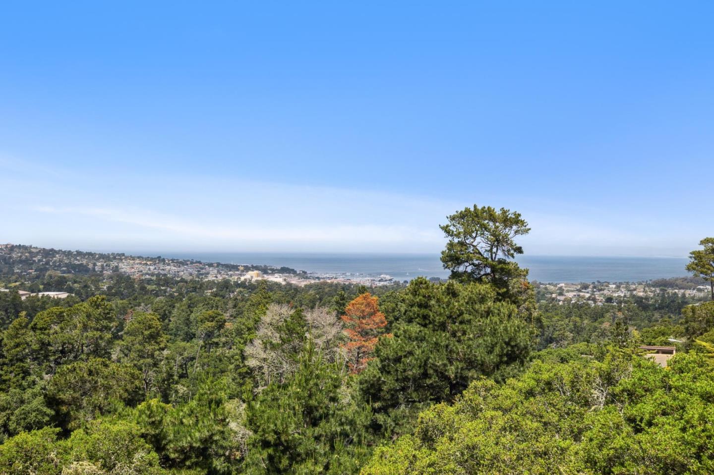 23865 Fairfield Place Carmel, CA 93923 - Photo 31 of 58