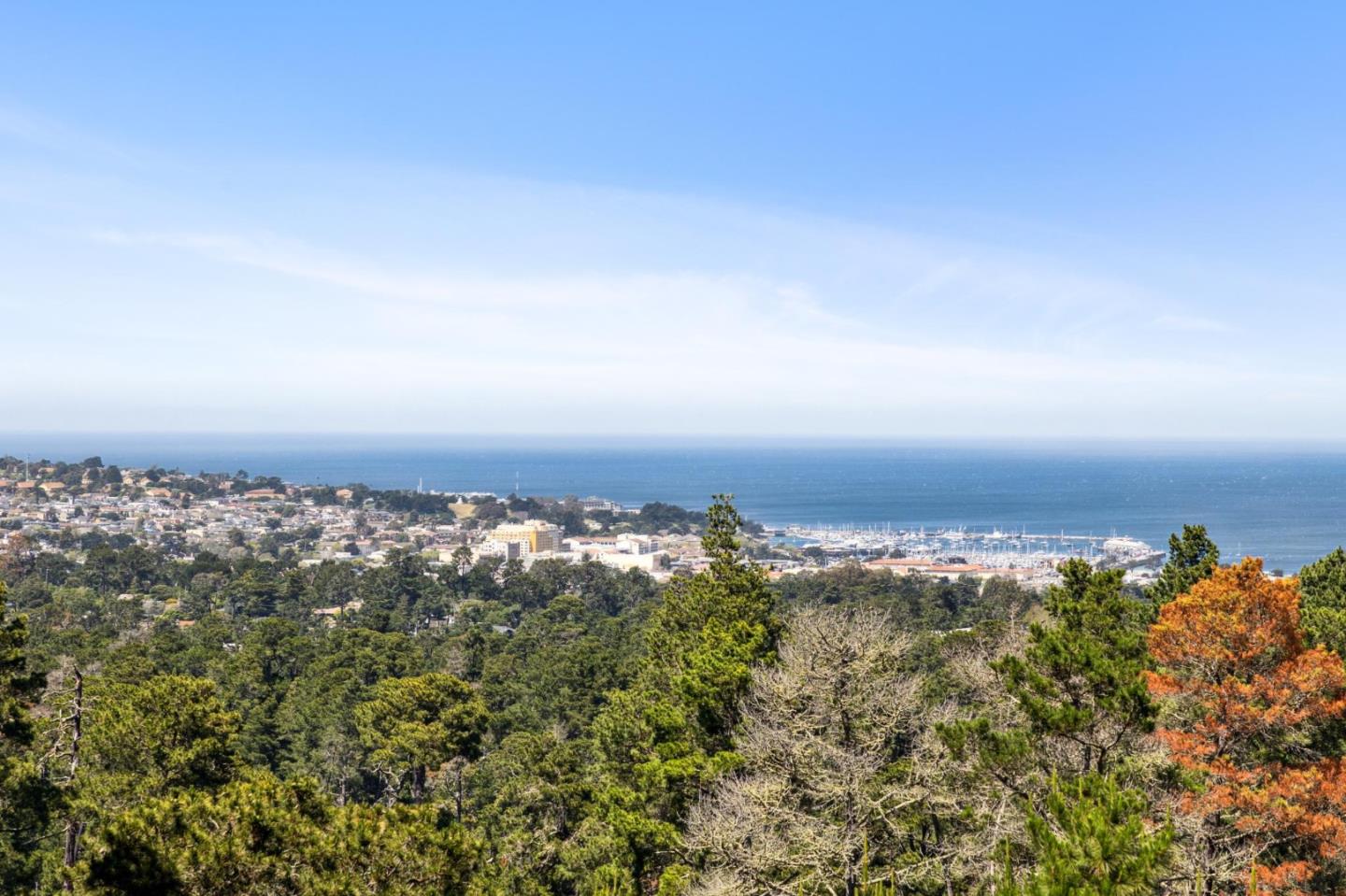 23865 Fairfield Place Carmel, CA 93923 - Photo 8 of 58