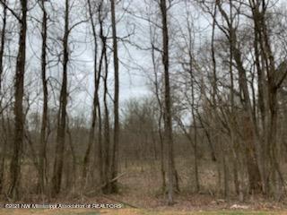12.02 Austin Road Walls, MS 38680 - Photo 2 of 4 IMG_4207