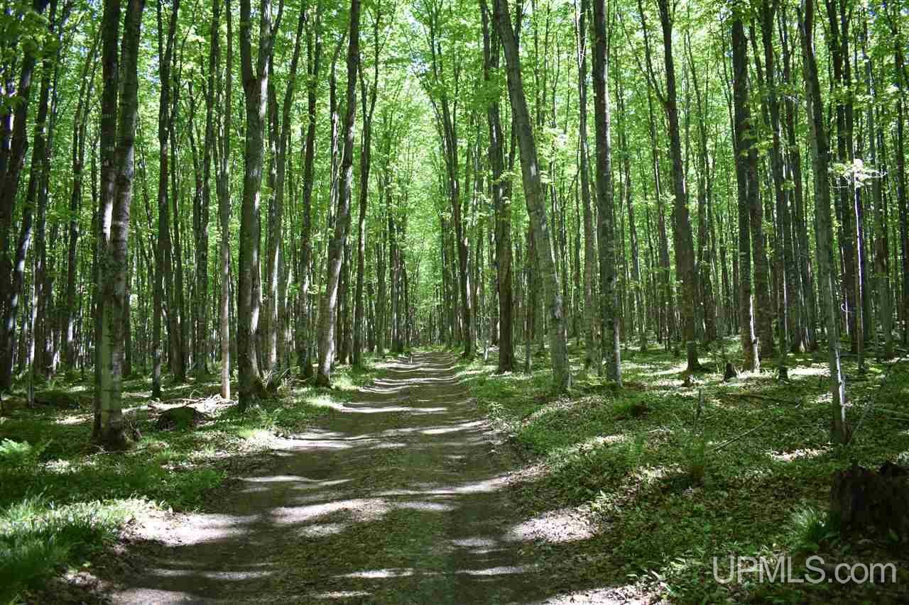 24-acres Co Rd Kb Big Bay, MI 49808 - Photo 24 of 50