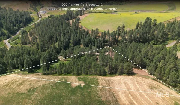 $207,500 | 0 Parkins Road, Troy, ID 83871