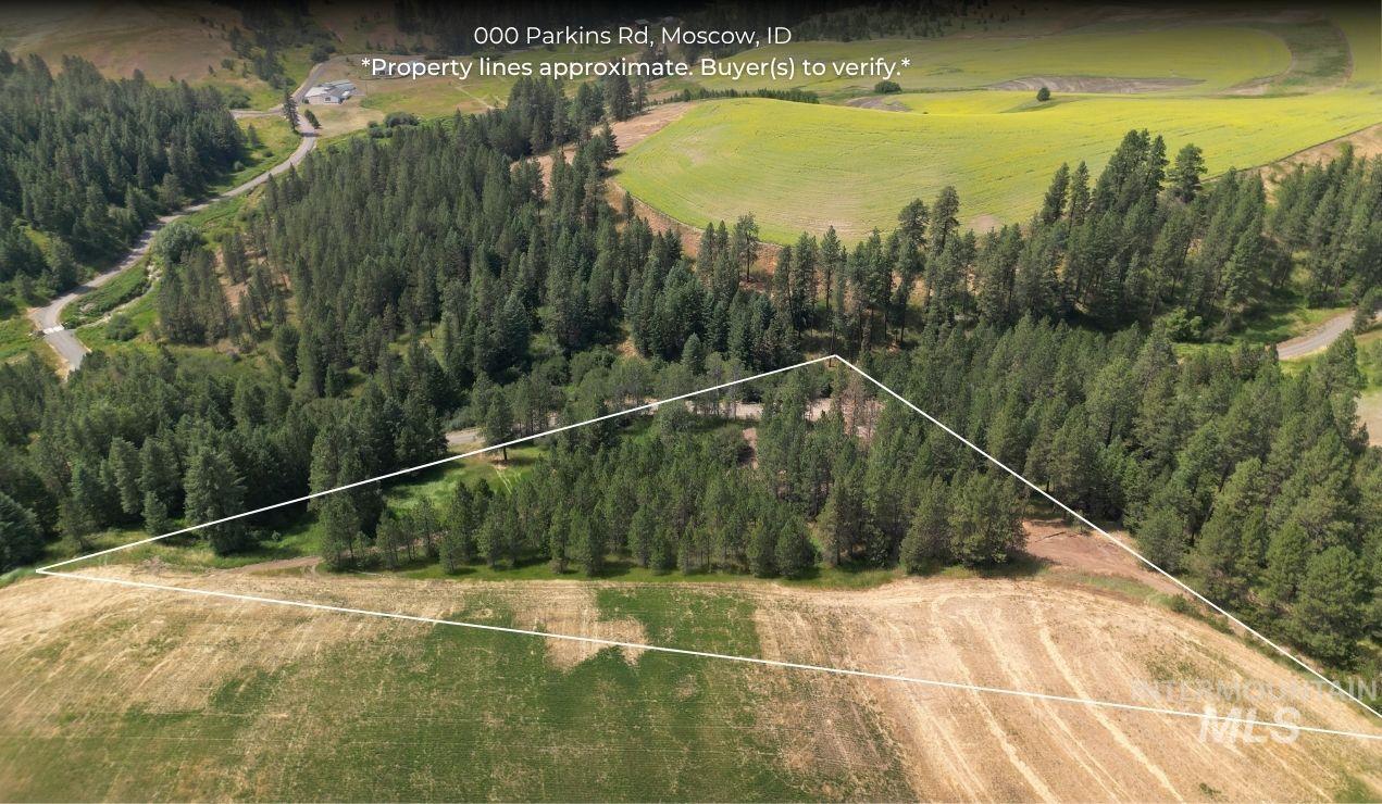 0 Parkins Road Troy, ID 83871 - Photo 1 of 33