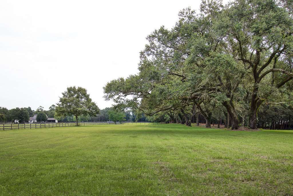 13131 Highway 98 Foley, AL 36535 - Photo 5 of 43