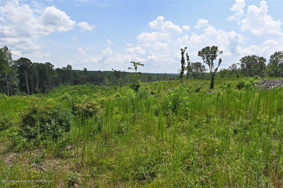 0 Co Road Crane Hill, AL 35053 - Photo 20 of 20 Gallery Image 20