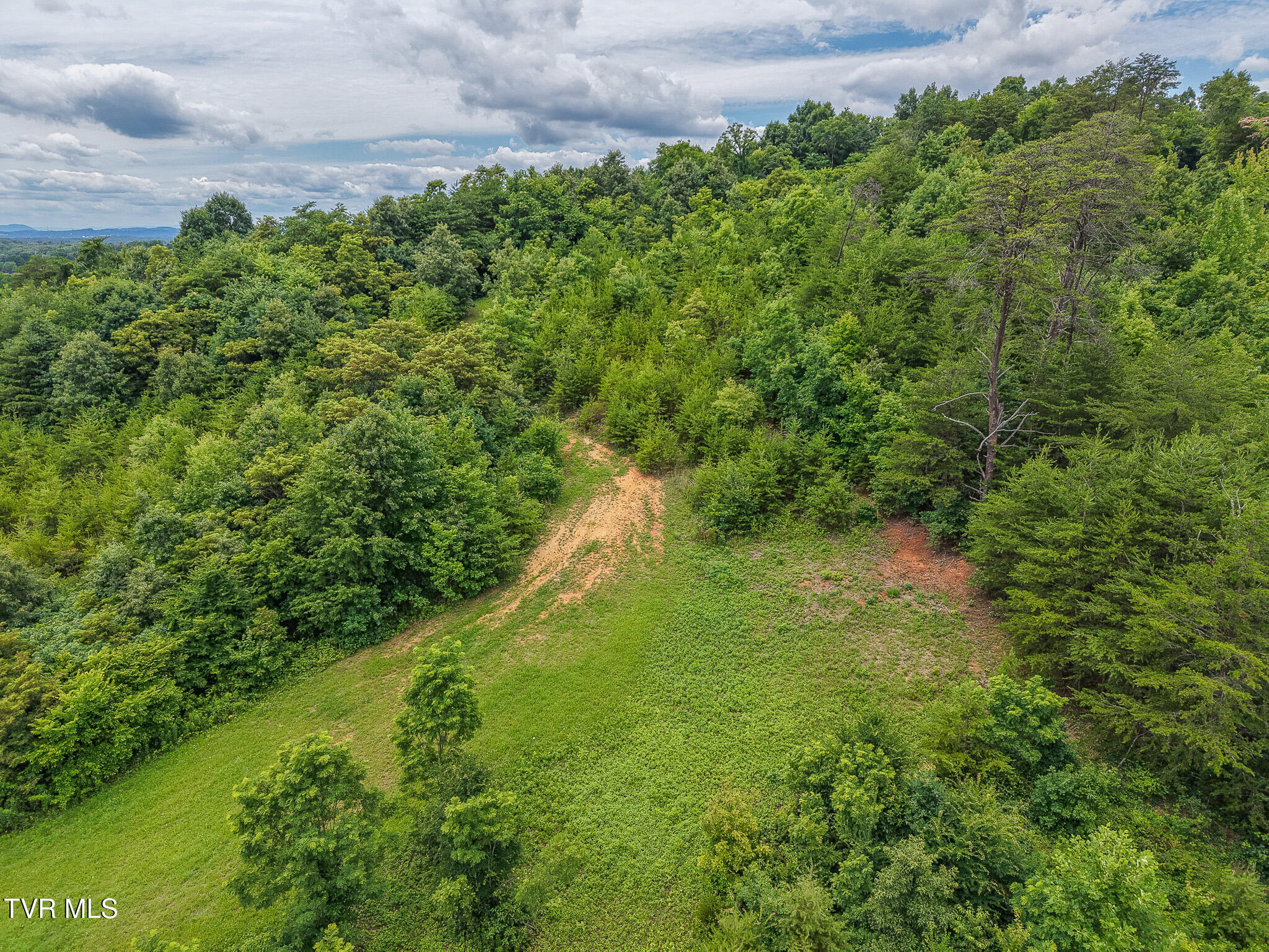 1903 Pleasant Ridge School Road Talbott, TN 37877 - Photo 14 of 43 Pleasant 9