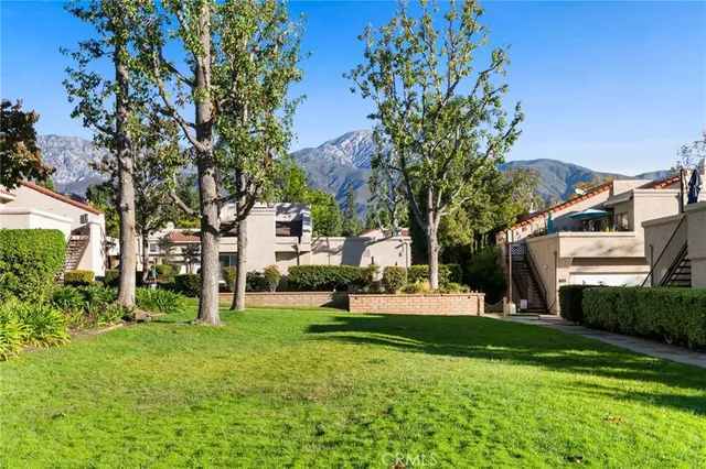 a view of a house with a tree in a yard