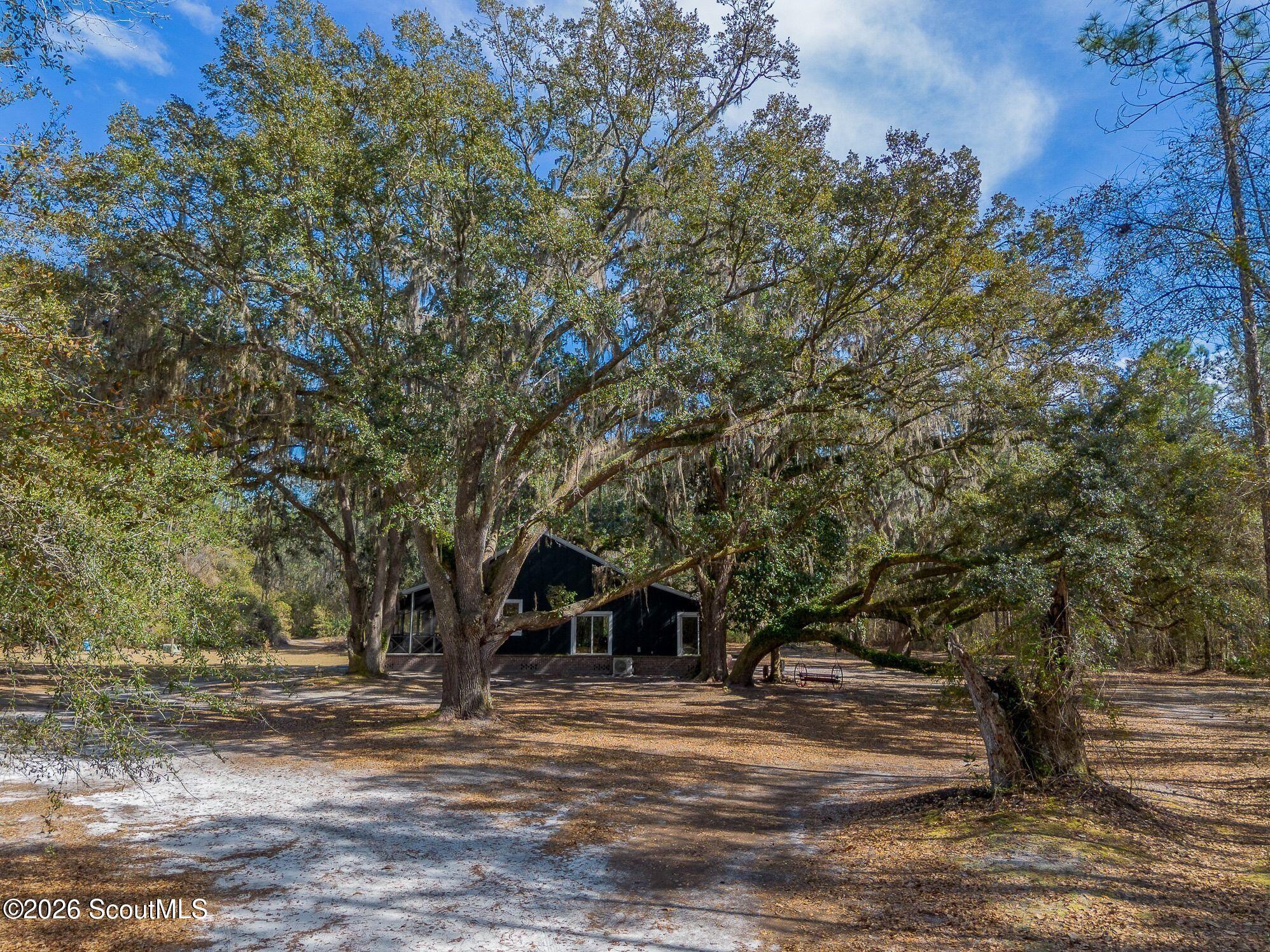12321 Highway 185 St. George, GA 31562 - Photo 35 of 57 52-AC-SR-185-ST-GEORGE-GA-21