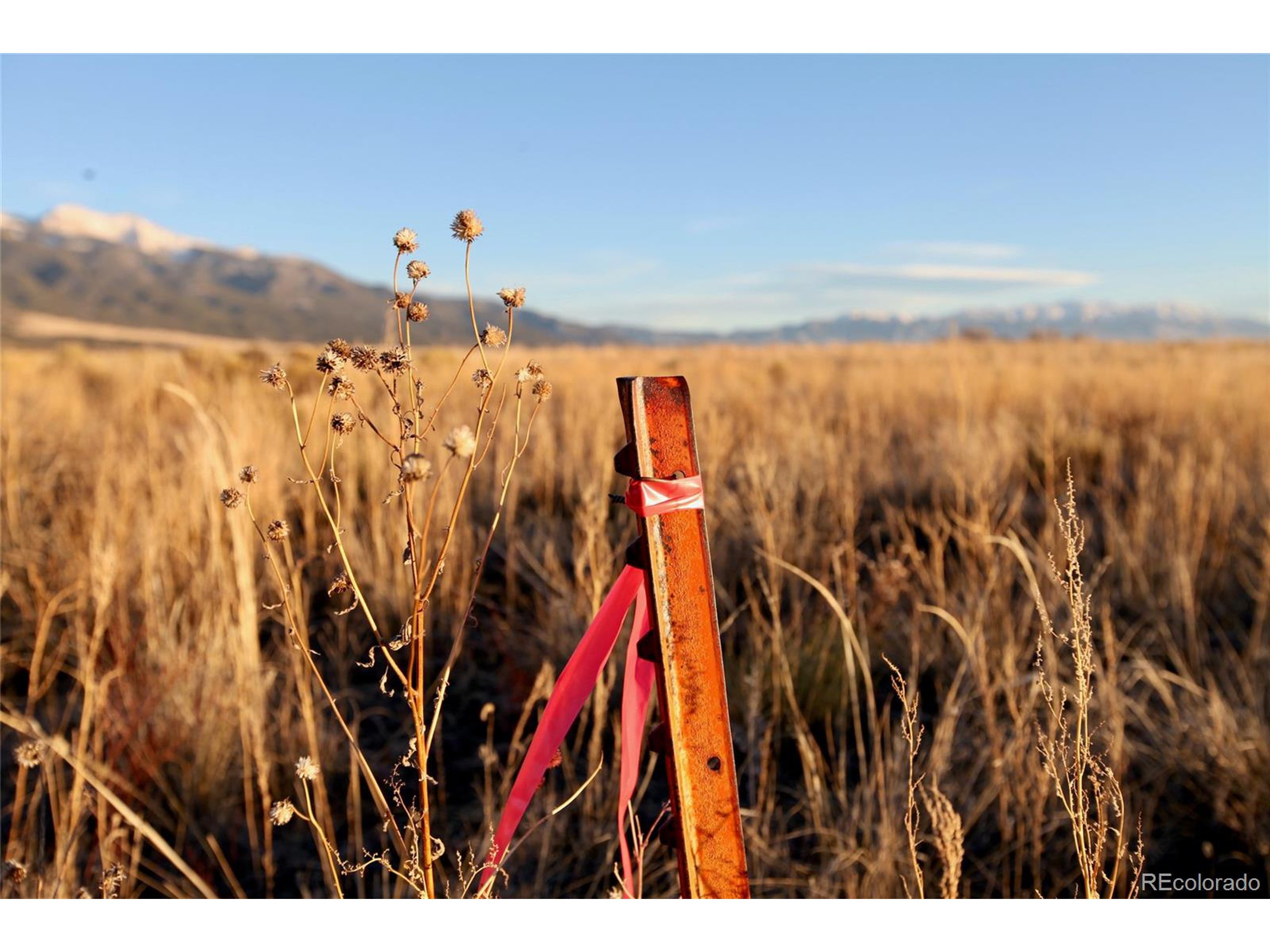 620 Pine Cone Road Crestone, CO 81131 - Photo 15 of 16