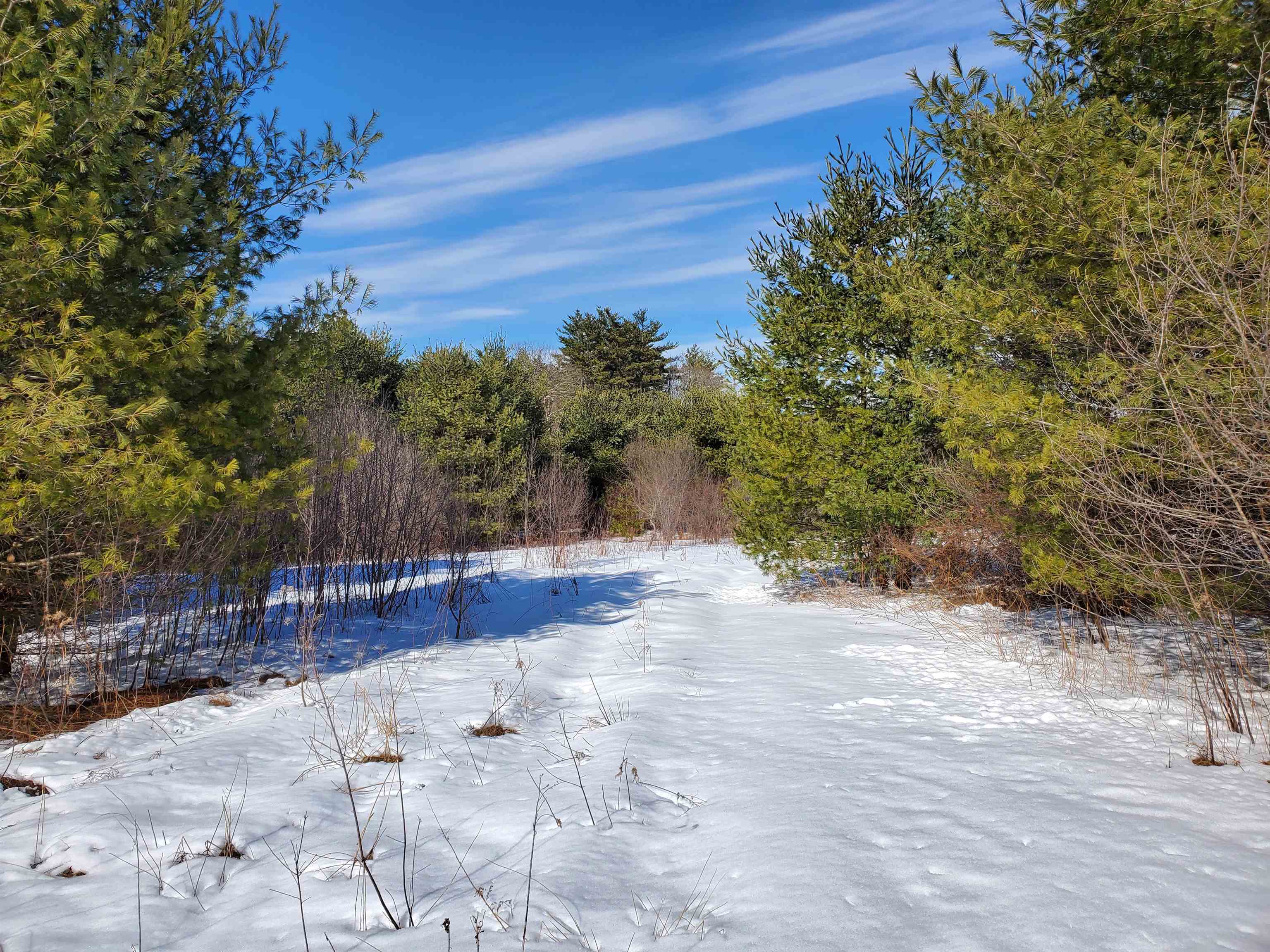 102 McAdam Road Westmoreland, NH 03467 - Photo 14 of 17