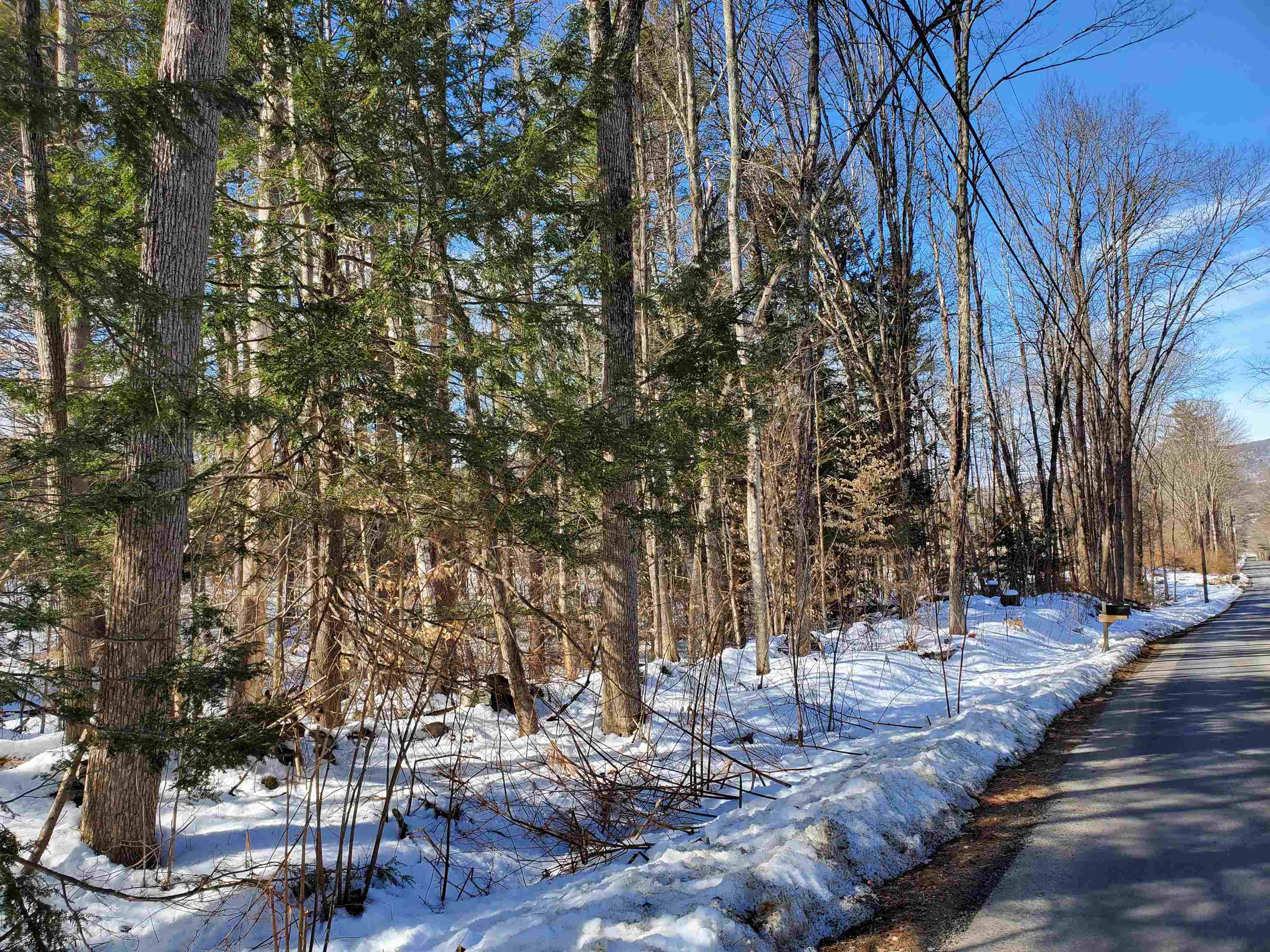 102 McAdam Road Westmoreland, NH 03467 - Photo 3 of 17