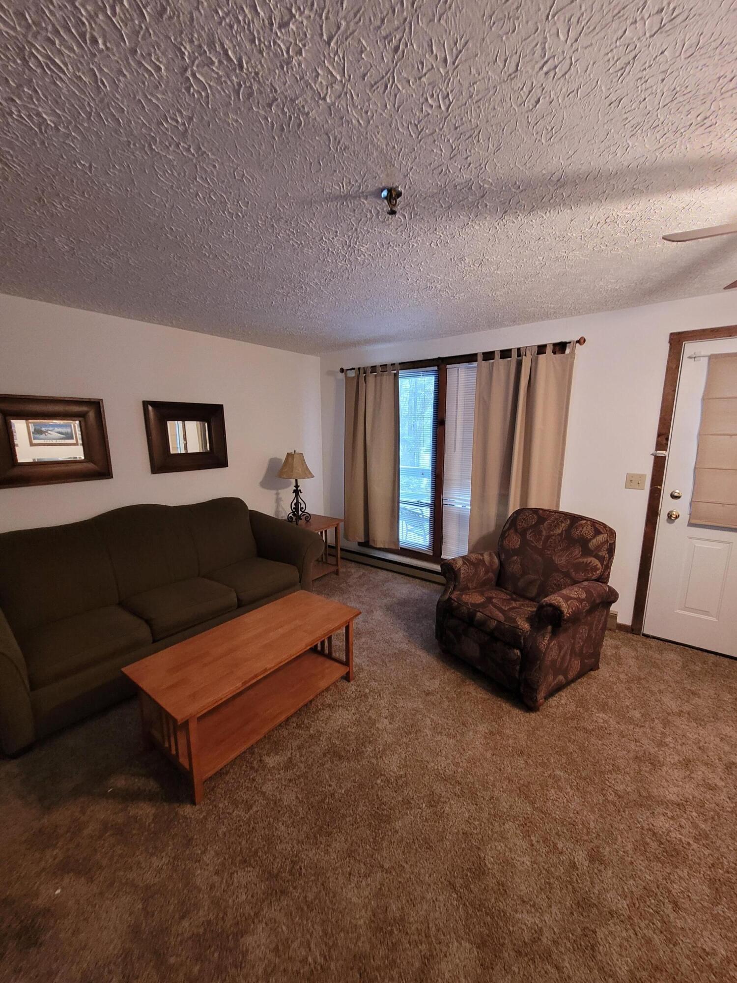 42 Ridgewood Street, Unit 37 Snowshoe, WV 26209 - Photo 17 of 23 Gallery Image 17
