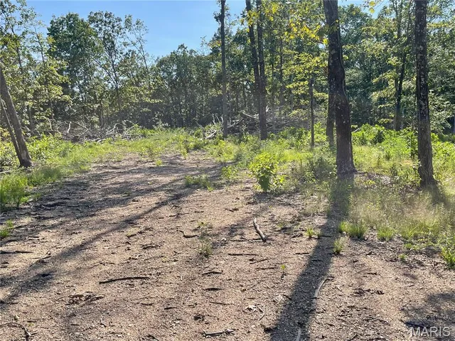 $169,900 | 0 Highway 34, Van Buren, MO 63965