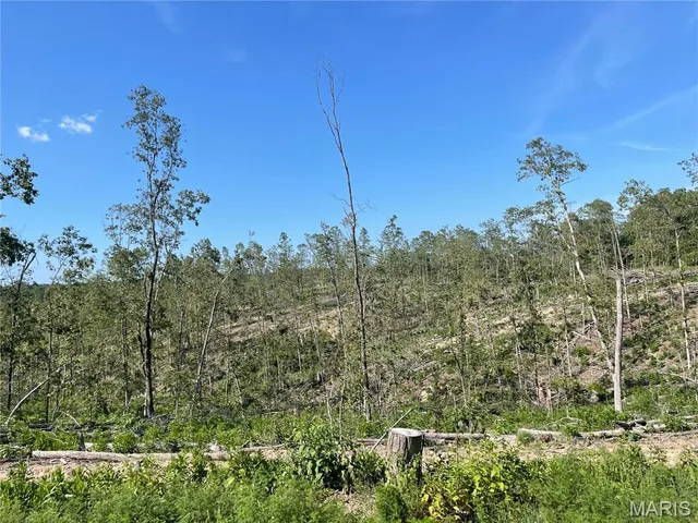 $169,900 | 0 Highway 34, Van Buren, MO 63965