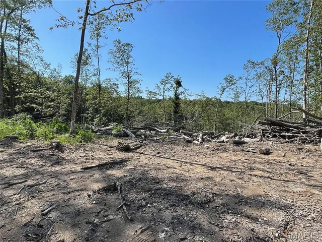 $169,900 | 0 Highway 34, Van Buren, MO 63965