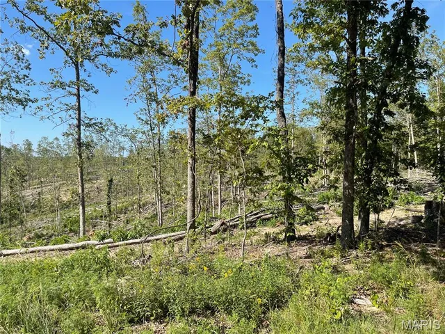 $169,900 | 0 Highway 34, Van Buren, MO 63965