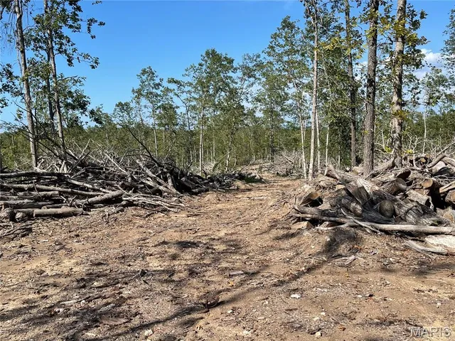 $169,900 | 0 Highway 34, Van Buren, MO 63965