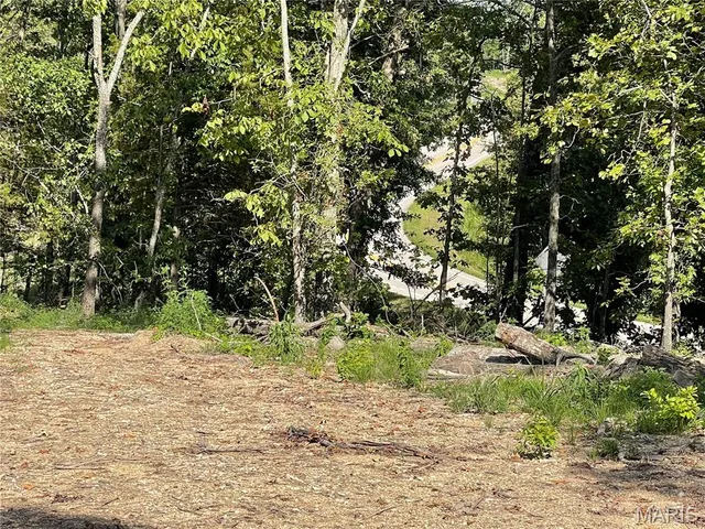 $169,900 | 0 Highway 34, Van Buren, MO 63965