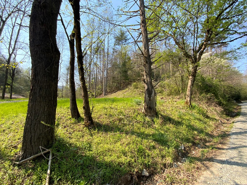1000 Hyatt Creek Road Marble, NC 28905 - Photo 6 of 15