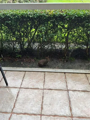 a view of a field with an trees