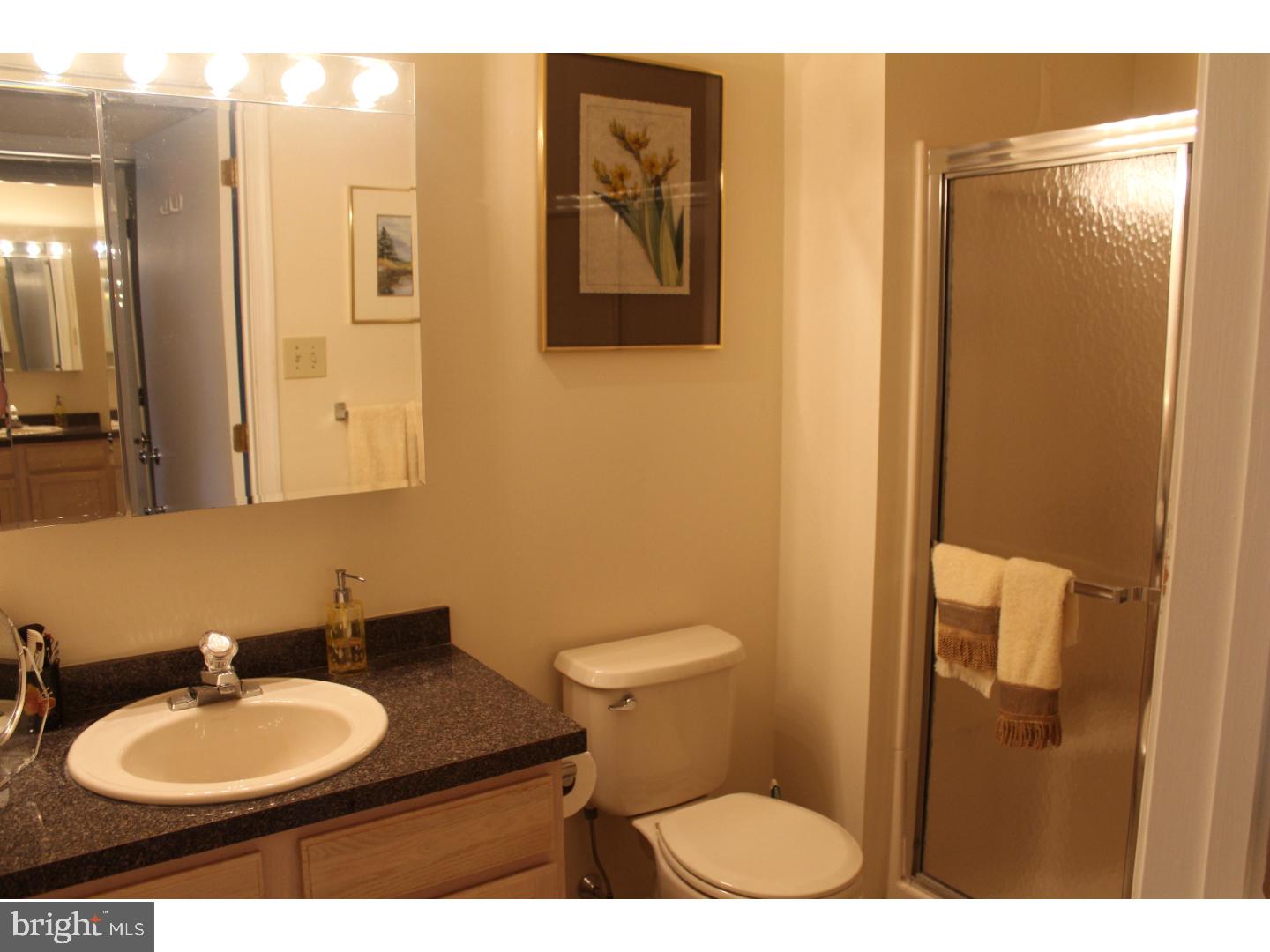 2005 Rabbit Run Road Marlton, NJ 08053 - Photo 7 of 17 a bathroom with a toilet a sink and mirror