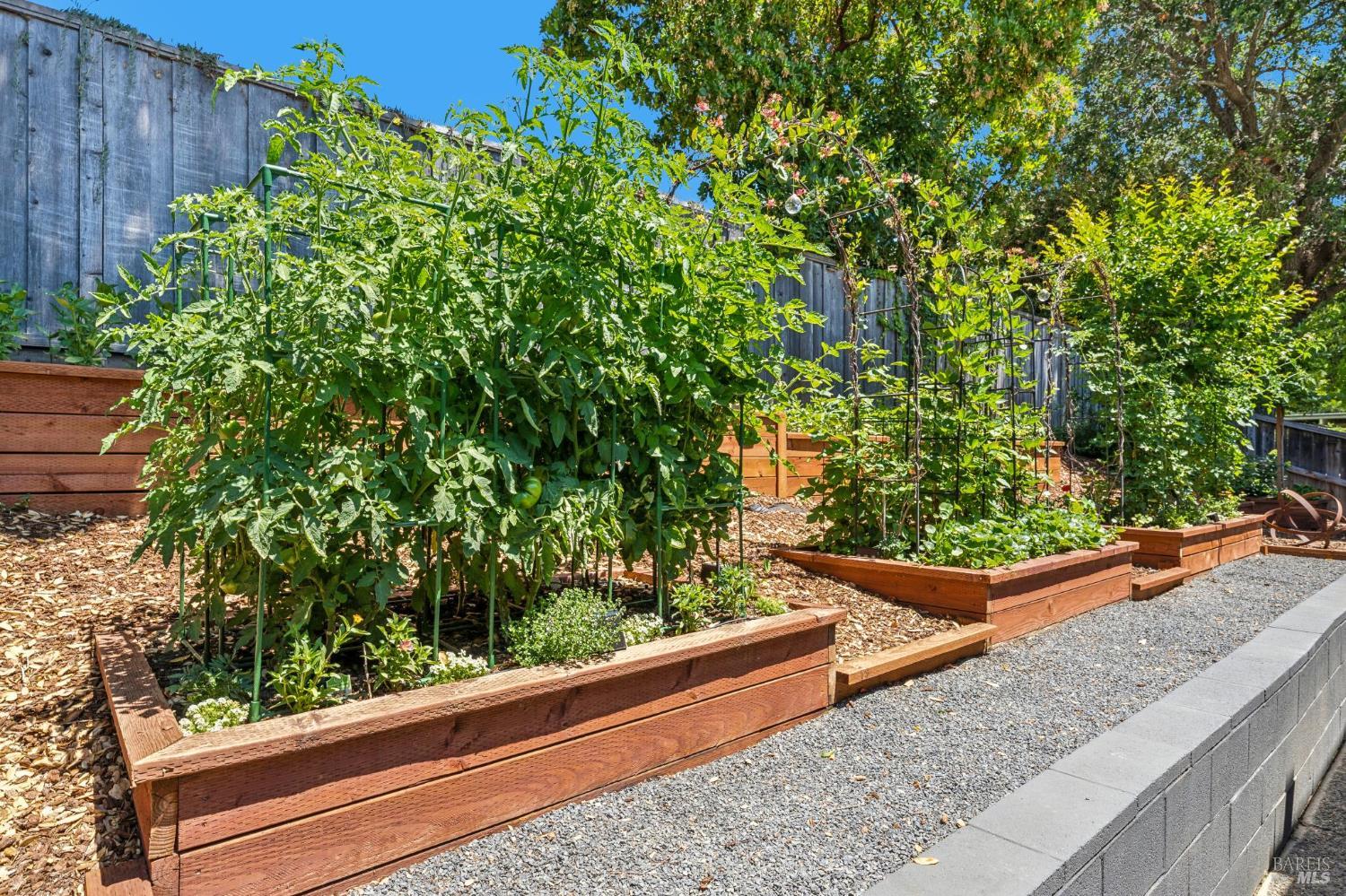1331 Idylberry Road San Rafael, CA 94903 - Photo 62 of 66