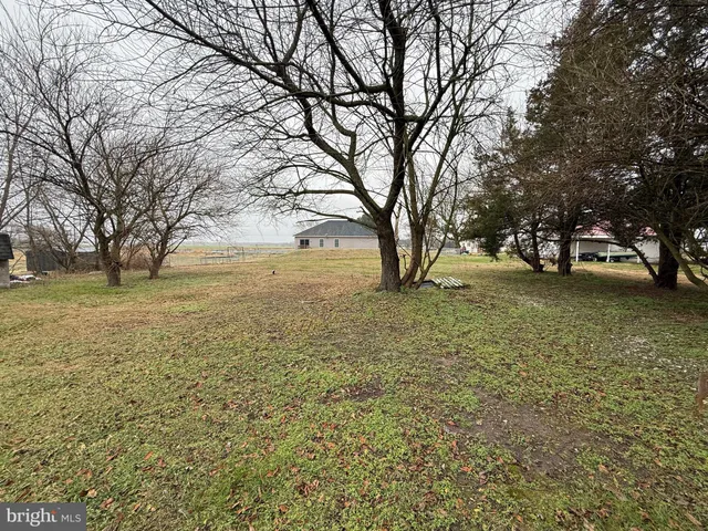 a view of yard with trees